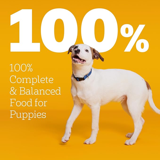 Pedigree Dry Puppy Food, Puppy Dry Food with Chicken, Rice, and Vegetable Flavor, 3.5 lb. Bag