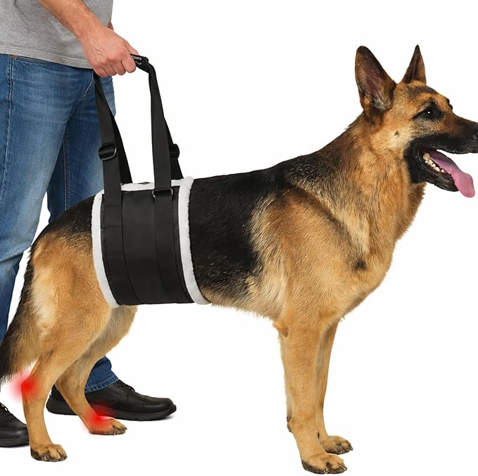 Adjustable Dog Lift Harness – Rear Leg Support Sling for Large Dogs | Mobility Aid for Senior, Injured & Post-Surgery Pets, ACL Surgery Dogs | Soft, Durable & Comfortable