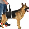 Adjustable Dog Lift Harness – Rear Leg Support Sling for Large Dogs | Mobility Aid for Senior, Injured & Post-Surgery Pets, ACL Surgery Dogs | Soft, Durable & Comfortable