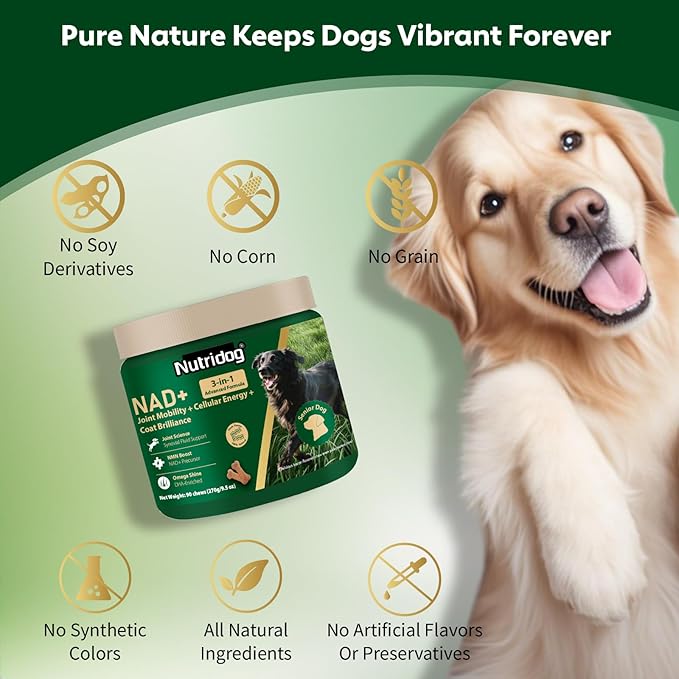 NMN Supplement for Dogs NAD+ Booster - Anti-Aging & Longevity Soft Chews for Senior Dogs with Resveratrol, CoQ10, Glucosamine & Omega-3-3-in-1 Cellular Energy, Joint & Skin Support