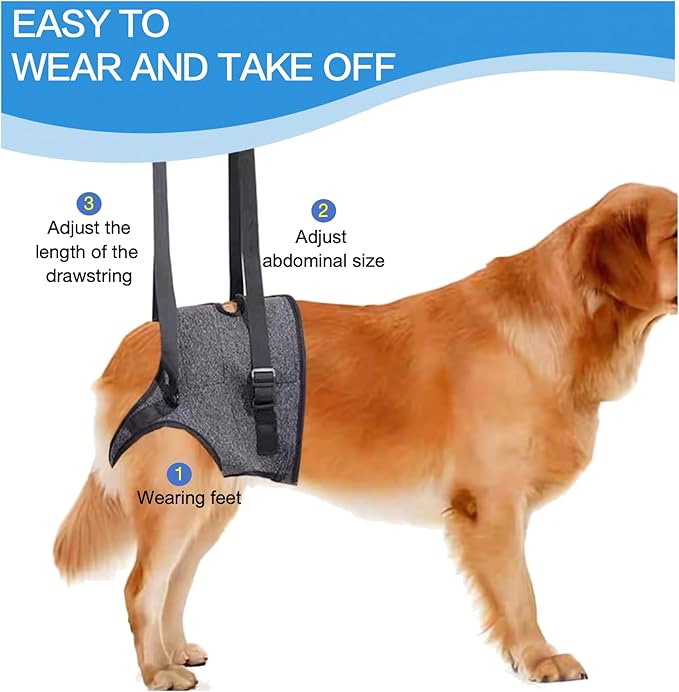 Dog Lift Harness for Back Legs–Sturdy Dog Support Sling–Hip Sling Carrier for Large Medium Canine, Stair Helper for Aid Old Ligament Rehabilitation Pet, Grey,S