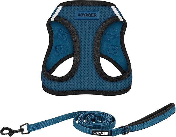 Voyager Step-in Air All Weather Mesh Harness and Reflective Dog 5 ft Leash Combo with Neoprene Handle, for Small, Medium and Large Breed Puppies by Best Pet Supplies - Blue, X-Large