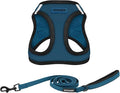 Voyager Step-in Air All Weather Mesh Harness and Reflective Dog 5 ft Leash Combo with Neoprene Handle, for Small, Medium and Large Breed Puppies by Best Pet Supplies - Blue, Large