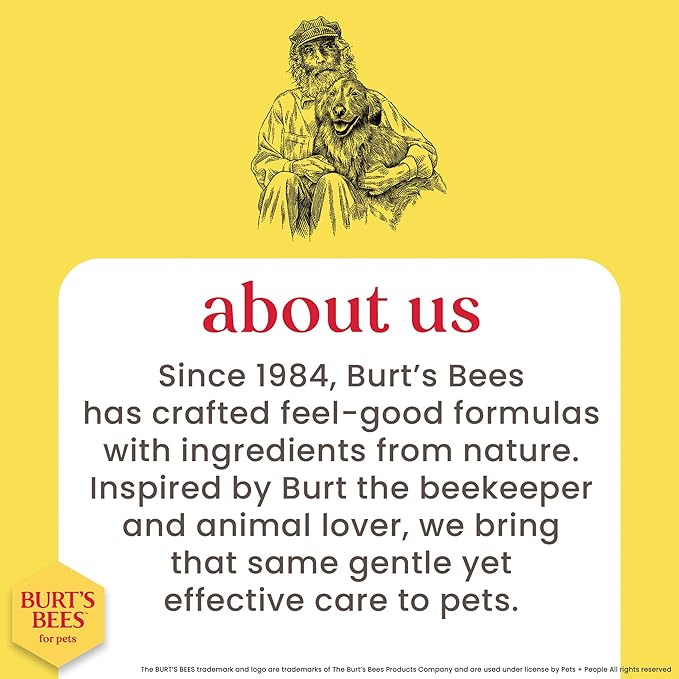 Burt’s Bees for Pets Hypoallergenic Cat Shampoo with Shea Butter and Honey, Gentle Kitten Shampoo for Indoor Cats with Dry or Sensitive Skin, Cat Bathing Supplies, 10 Fl Oz - 6 Pack