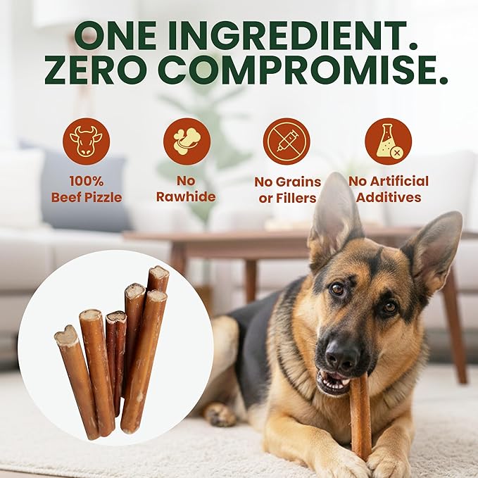 6 Pack 6 Inch Standard Bully Sticks for Dogs – 100% Beef Pizzle, Single Ingredient Rawhide-Free Dental Chews, Long Lasting Natural Dog Treats for Medium to Large Dogs