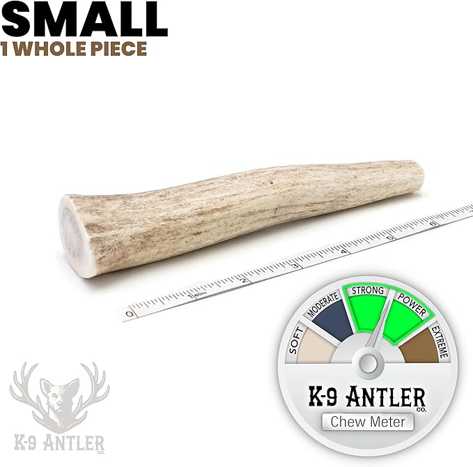 Elk Antlers for Dogs – Small Whole (4-6 Inch), Durable Chew for Aggressive Chewers, USA Sourced, Naturally Shed & Ethically Harvested