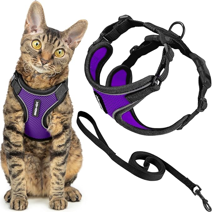 Voyager Escape-Proof Step-in Lock Cat Harness & 5ft Neoprene-Handle Leash Set All-Weather Mesh with Reflective Stitching for Small to Large Cats by Best Pet Supplies, Black Trim-Purple (327), XXS