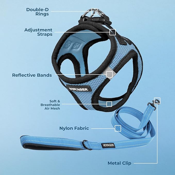 Best Pet Supplies Voyager Step-in Air All Weather Mesh Harness and Reflective Dog 5ft Leash Combo with Neoprene Handle, for Small, Medium and Large Breed Puppies - Set (Baby Blue/Black Trim), X-Large