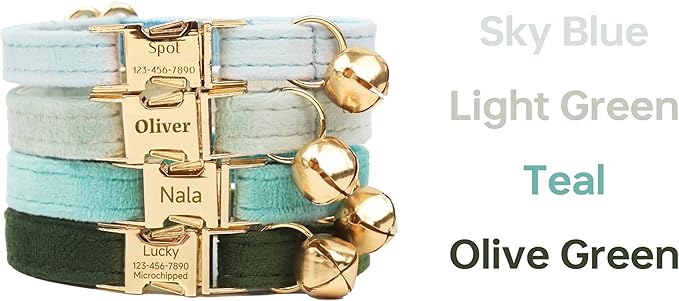 Personalized Colorful Velvet Cat Collar with Light Gold Buckle Engraved Name & Phone, Adjustable Size with Bell, Optional Bowtie, Leash and Airtag Holder for Cats & Kittens