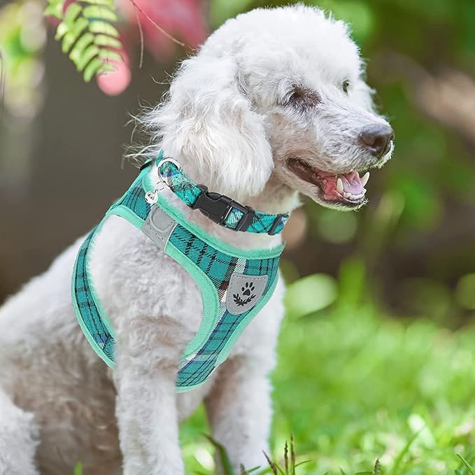 PUPTECK Adjustable Dog Harness Collar and Leash Set Step in No Pull Pet Harness for Small Medium Dogs Puppy and Cats Outdoor Walking Running, Soft Mesh Padded Reflective Vest Harnesses, Lake Green L