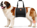 LOOBANI Dog Sling for Large Dogs Hind Leg Support, Portable Dog Lift Harness for Back Legs, Comfortable Leg Support Assistance for Elderly Dogs with Hip, ACL Brace, Senior, Injured