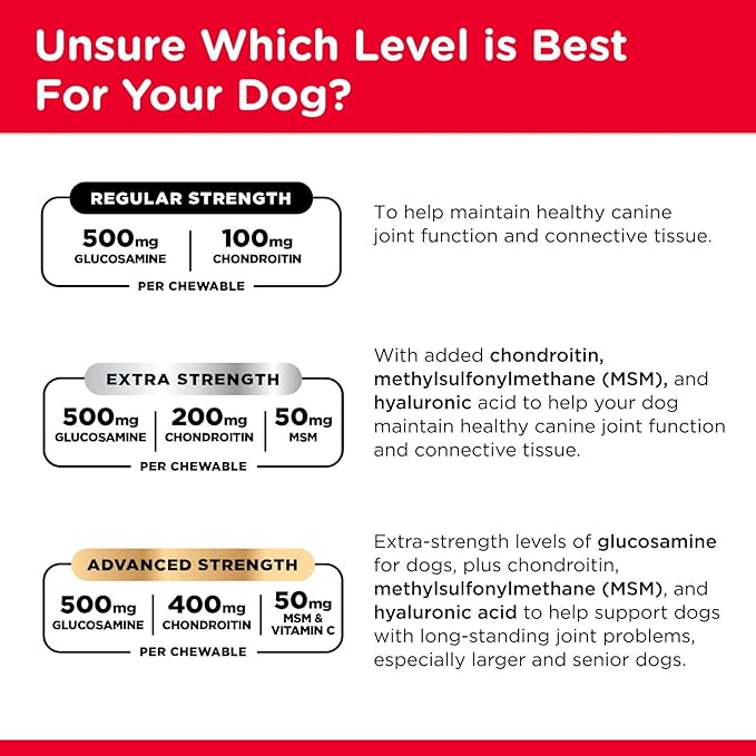 Nutri-Vet Hip & Joint Regular Strength Chewable Dog Supplements, Formulated with Glucosamine Chondroitin, Pet Supplies, Joint Supplement for Dogs, Pet Care, Puppy Essentials, 120 Count