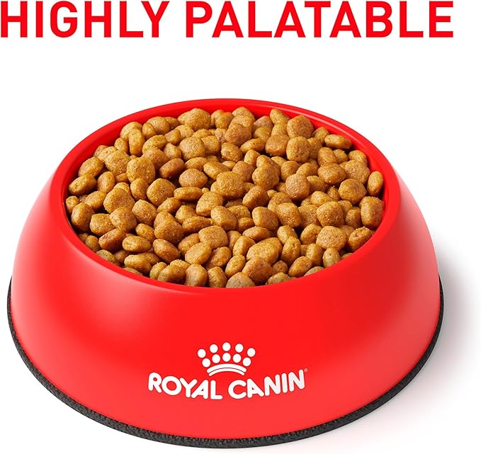 Royal Canin Veterinary Diet Canine Urinary SO Adult Dry Dog Food, 25.3 lb Bag