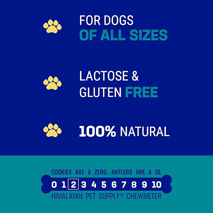 Himalayan Dog Chew Happy Teeth Yak Cheese Dog Chews Dental Chews, 100% Natural, Long Lasting, Gluten Free, Healthy & Safe Dog Treats for Oral Health, Lactose & Grain Free, Protein Rich, 2 Chews