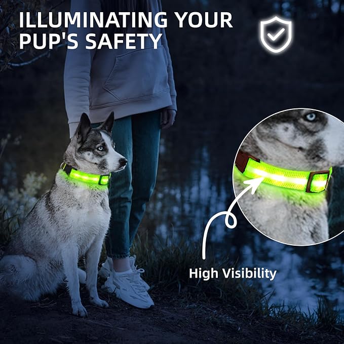 PetIsay Light Up Dog Collar - High Visibility & Durable Nylon Material - USB C Rechargeable & Waterproof LED Collar for Night Walking, Glow in The Dark Flashing (Green, Small)