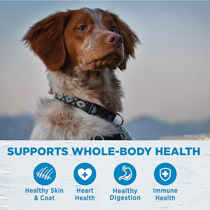 Wellness Simple Limited Ingredient Dry Dog Food for Sensitive Stomachs, Supports Skin & Coat, Small Breed, Grain-Free, Natural, Salmon & Potato Recipe, (10.5-Pound Bag)