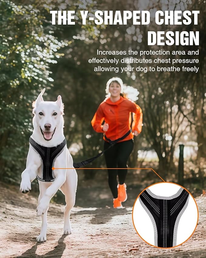 Dog Pulling Harness Set with Waist Belt & Shock-Absorbing Leash, Adjustable Sled Harness for Running, Hiking & Biking, Medium Large Dogs- L Size