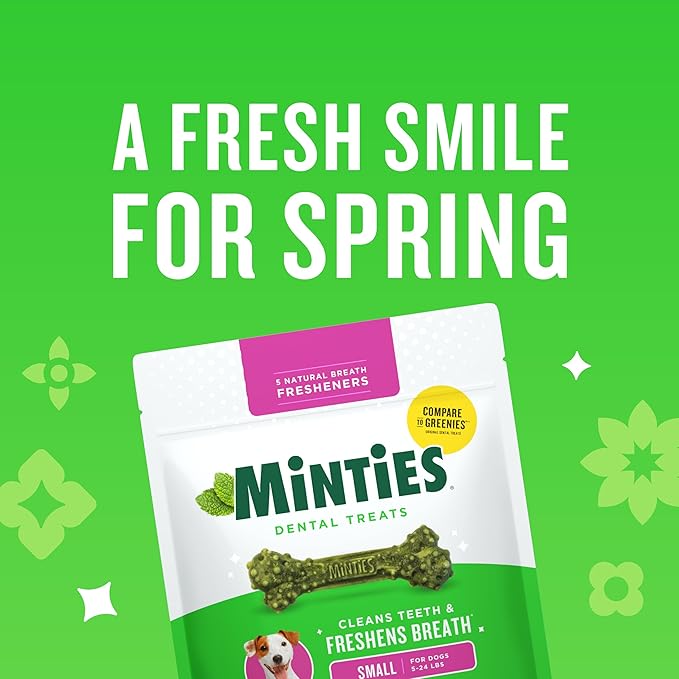 Minties Dog Dental Bone Treats, Tiny/Small Dental Dog Treats, Clean Teeth, Fight Bad Breath, Removes Plaque and Tartar, 80 Count