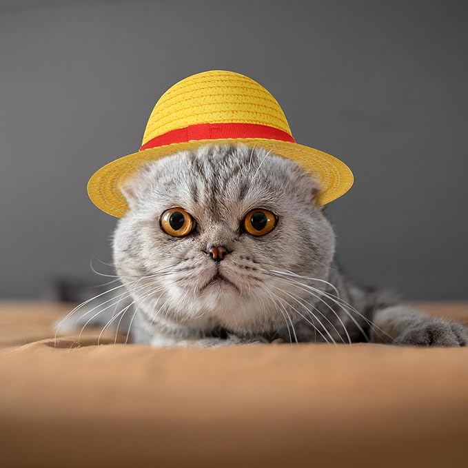 Beautyflier Pet Straw Hat Party Decorations Halloween Cosplay Cap Puppy Pet Dog Cat Holiday Costume for Small Dog Cat (Yellow)