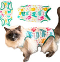 Cat Recovery Suit Surgical Onesie - Post Surgery - Soft Breathable Fabric - No-Cord Design - Protects Wounds and Skin After Spay or Neuter - Male and Female Cats | Medium