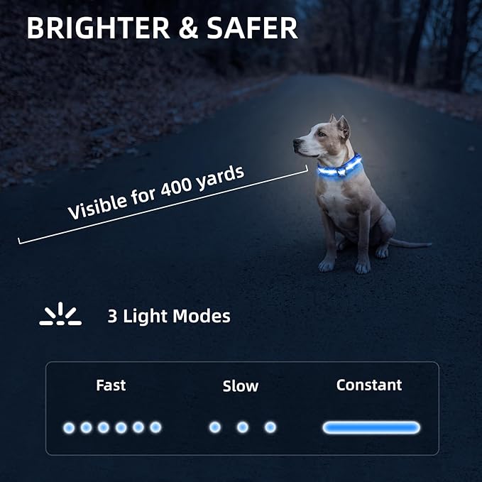 PetIsay Light Up Collar - High Visibility & Durable Nylon Material - USB C Rechargeable & Waterproof LED Dog Collar for Night Walking, Glow in The Dark Flashing (Blue, Medium)