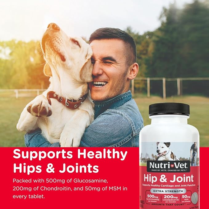 Nutri-Vet Extra Strength Hip & Joint Supplement for Dogs, Puppy Supplements, Dog Joint Supplement, Contains 500mg of Glucosamine, 200mg of Chondroitin, 50mg of MSM, Puppy Essentials, 75 Tablets
