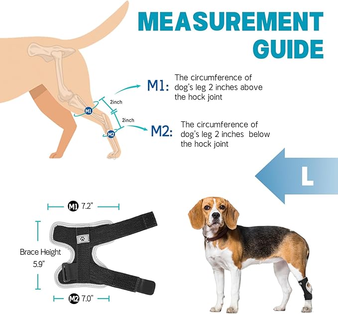 Supet Dog Leg Brace for Back Leg - Hock & Ankle Joint Support for Rear Legs with 2 Metal Springs, Anti-Slip Design & Reflective Trim for Sprain, Arthritis, Injury & Wound Recovery (Black, L)