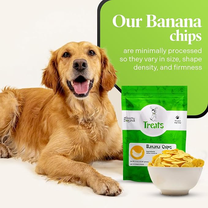 Healthy Dogma Banana Chips Treat for Dogs - All-Natural, & Clean Ingrediant Snacks - Supports Digestion, Energy & Immune Health - Perfect for Training & Sensitive Stomachs,(8 oz)