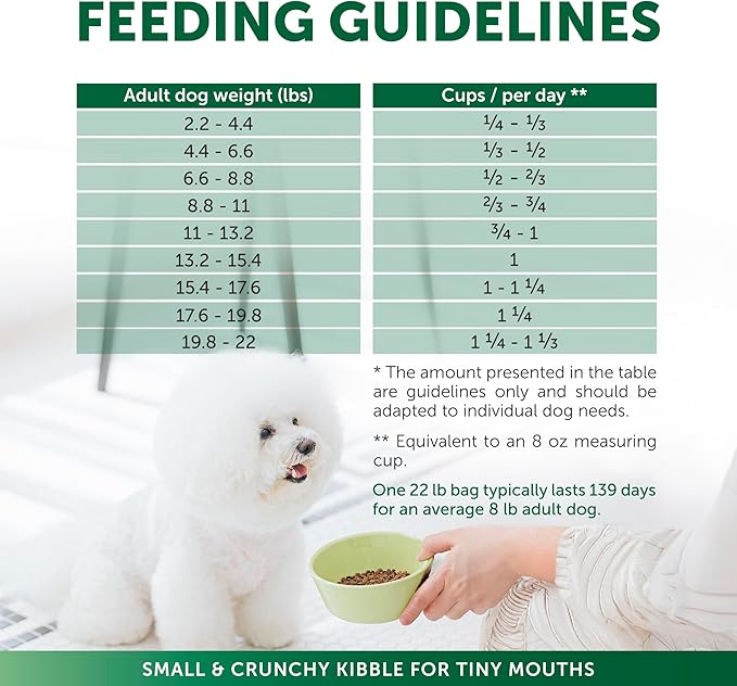 Nature's Protection Dry Dog Food for Small Breed - High Protein, Grain-Free Tear Stain Dog Kibble for White & Light Coated Adult Dogs (Superior Care - Salmon, 22 lb)