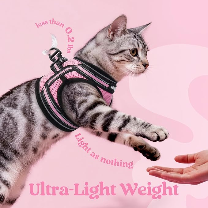 rabbitgoo Cat Harness and Leash Set for Walking Escape Proof, Adjustable Soft Kittens Vest with Reflective Strip for Cats, Comfortable Outdoor Vest, Pink, L