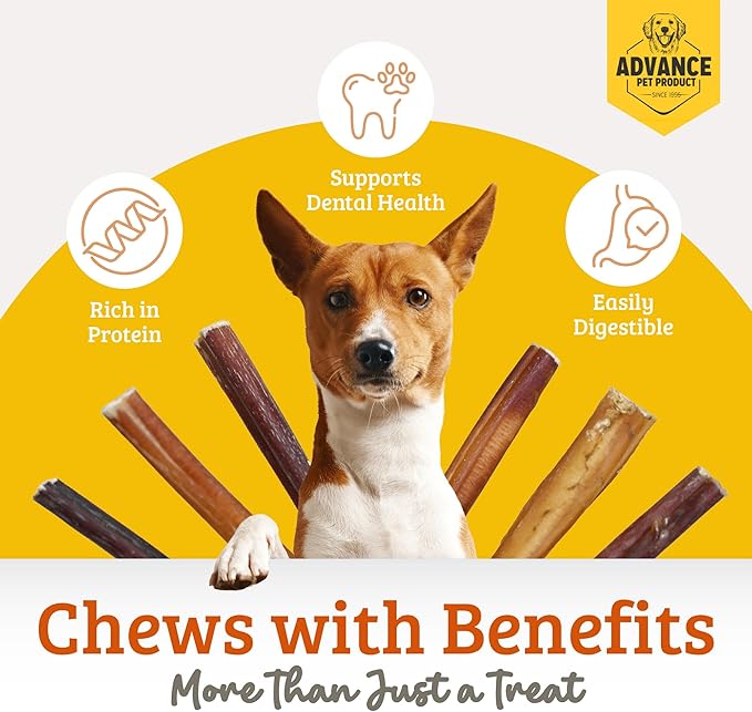 Advance Pet Products Premium 6 Inch Bully Sticks for Dogs (Pack of 5) – 100% Beef Dog Chews, Odor-Free, Long Lasting Treats for Aggressive Chewers, High Protein, Gluten & Rawhide Free, Easy to Digest