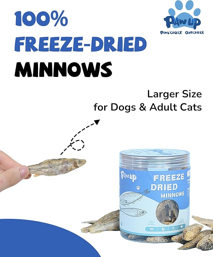 PAWUP Freeze Dried Minnows Dogs Treats – 100% Raw Single-Ingredient Pet Fish Snacks – Rich in Omega-3, Grain-Free – Healthy Training Rewards & Meal Toppers, 2.8 oz