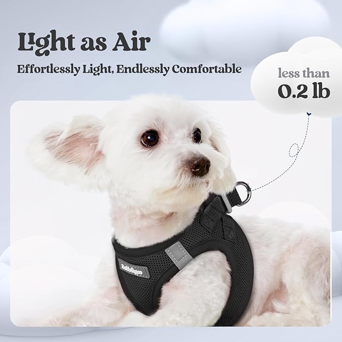 rabbitgoo Dog Harness Small Sized and Leash Set, Step in Soft Light Puppy Vest, Breathable Mesh Pet Harness, Reflective for Outdoor Safe Walking, Black XXL