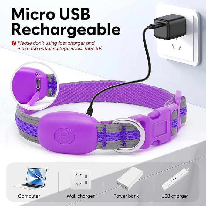 Flashseen LED Dog Collar, Light Up Dog Collar USB Rechargeable, Brightest Dog Lights for Night Walking, Adjustable Dog Collar Light for Dog Safety (Purple, X-Small)