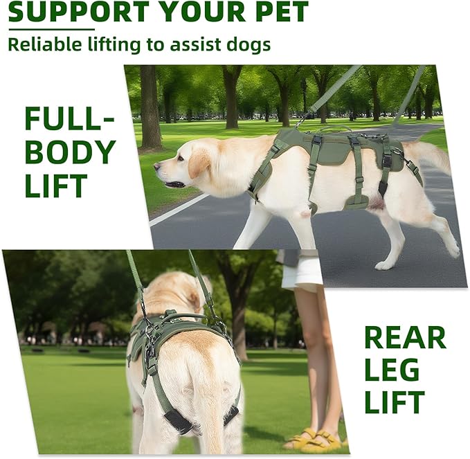 PUPTECK Dog Lift Harness for Medium Large Sized Dog, Rehabilitation Sling for Hind Leg Support, Multifunctional Mobility Assistance Harness for Old, Disabled, Joint Injuries, Paralysis Dogs, Green L