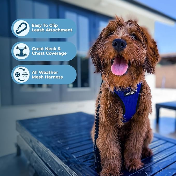 Voyager Step-in Air All Weather Mesh Harness and Reflective Dog 5 ft Leash Combo with Neoprene Handle, for Small, Medium and Large Breed Puppies by Best Pet Supplies - Blue, X-Large