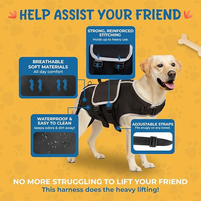 Full Body Dog Lift Harness - Help Medium Dogs Up Adjustable Mobility Support Aid for Injured or Senior Dog and Dogs Hind Leg, Black M