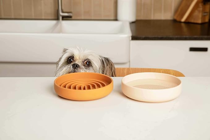 Should We Go? Dog Water Bowl - The Perfect Dish No-Spill, Less Mess Non-Tippable Water & Food Bowl, Silicone with Suction Cup, Fits 2 Cups 6” Across x 1.25” Tall, Ideal for All Pets, Small-Terracotta
