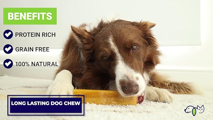 Himalayan Yak Chews, Natural Dog Treats, Limited Ingredients, 68 grams of protein, raw-hide alternative, large dog chews for aggressive chewers (Cheese)