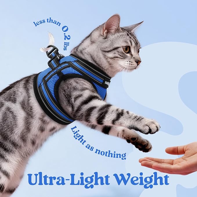 rabbitgoo Cat Harness and Leash Set for Walking Escape Proof, Adjustable Soft Kittens Vest with Reflective Strip for Cats, Comfortable Outdoor Vest, Blue, S
