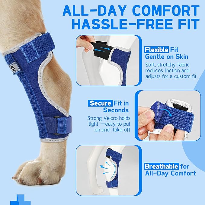Dog Leg Brace Canine Rear Leg Support, Relieve Pain from Sprains, Arthritis, Enhancing Stability, Helps with Loss of Stability from Arthritis(Blue,S)