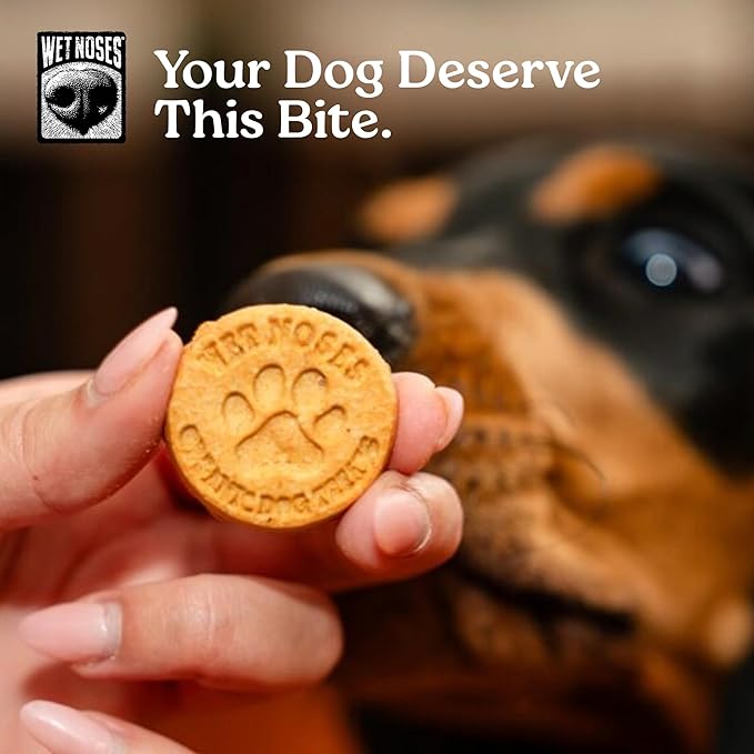 Wet Noses Moments Non-GMO Cheezy Pretzel Crunchy Dog Treats - 14oz | No Corn, Wheat, Soy or Peas, Made with 5 Simple Ingredients