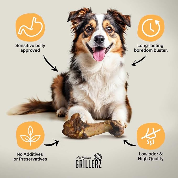 Grillerz Large Pork Bone, 1 Count, Rawhide Free, All Natural Treat for All Breeds, Long Lasting, Easy to Digest, Dog Bone for Large Dogs, Dog Chew for Healthy Teeth
