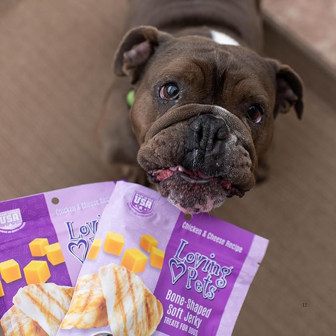 Loving Pets Soft Jerky Dog Treats – Real USA-Sourced Meat Dog Snacks for Training, Puppies & Everyday Reward – Soft, Chewy Dog Treats for Small, Medium & Large Dogs – Wheat & Corn Free