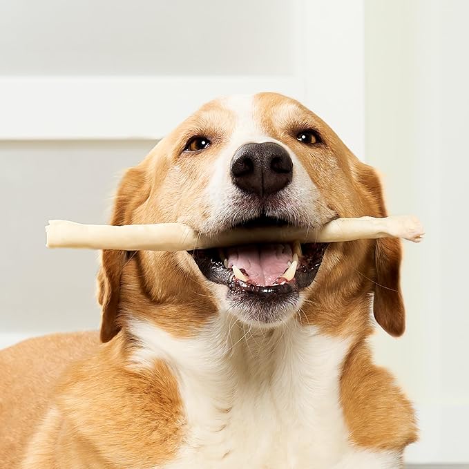 USA Beefhide Chip Rolls 10-11" Dog Chew Treats - Natural Flavor, 10 Count/1 Pack