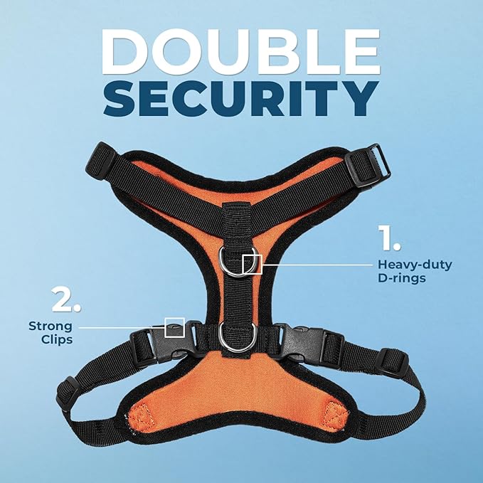Best Pet Supplies Voyager Step-in Lock Pet Harness w Reflective Pet Leash Combo Set with Neoprene Handle 5ft - Supports Small, Medium and Large Breed Puppies/Cats - Orange/Black Trim Set, L