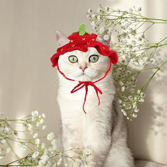 Strawberry Cat Hat, Handmade Knit Cute Soft Dog Cat Hat Halloween Christmas Party Costume Head Wear Accessories for Cats Birthday Puppy Hats for Kitten Small Pets (Red, M)