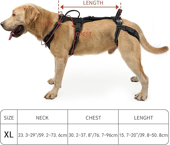 COODEO Mobility Dog Lift Harness, Support Sling & Walking Sling for Dogs, Pet Rear Leg Rehabilitation Support Vest, Dog Carrier for Senior Dogs with Joint Injuries, Arthritis, Up Stair (Black, XL)