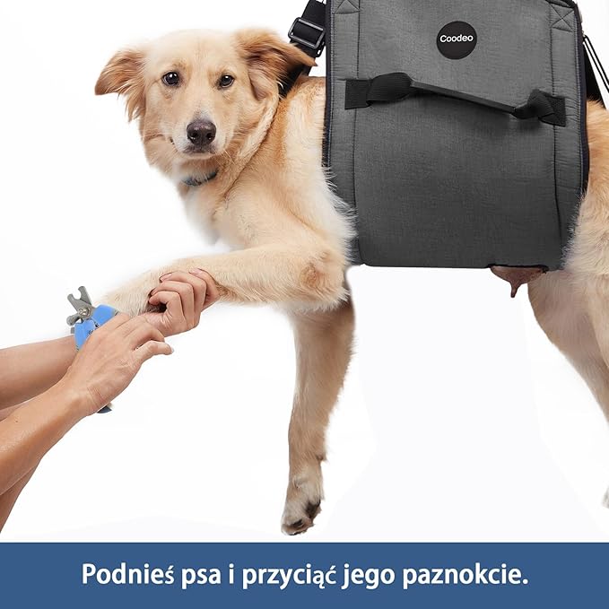 COODEO Dog Carry Sling, Emergency Backpack Pet Legs Support & Rehabilitation Dog Lift Harness for Nail Trimming, Dog Carrier for Senior Dogs Joint Injuries, Arthritis, Up and Down Stairs(2XL, Black)