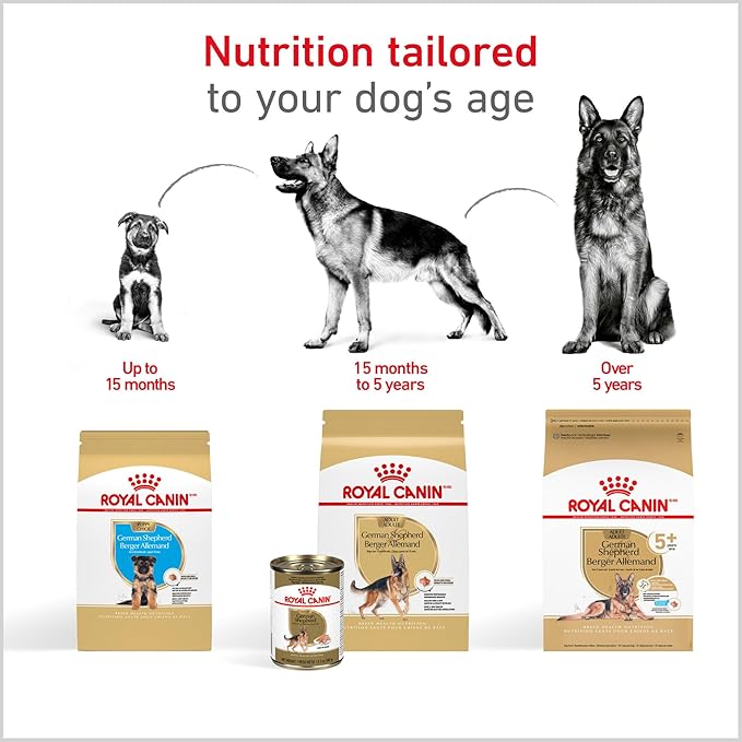 Royal Canin Breed Health Nutrition German Shepherd Adult Dry Dog Food, 17 lb Bag